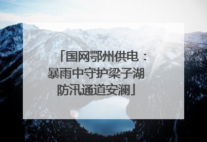 国网鄂州供电：暴雨中守护梁子湖防汛通道安澜