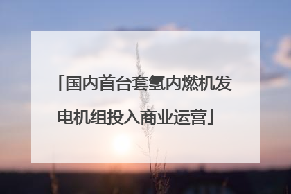 国内首台套氢内燃机发电机组投入商业运营