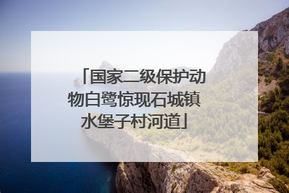 国家二级保护动物白鹭惊现石城镇水堡子村河道