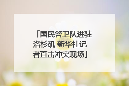 国民警卫队进驻洛杉矶 新华社记者直击冲突现场
