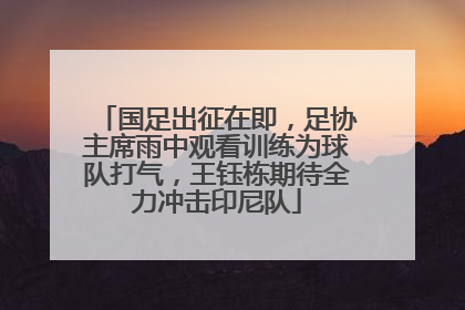 国足出征在即，足协主席雨中观看训练为球队打气，王钰栋期待全力冲击印尼队
