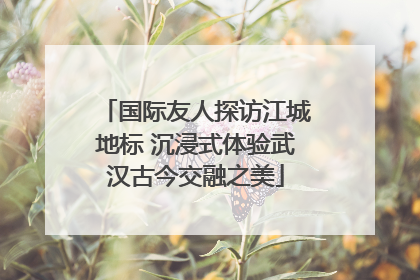 国际友人探访江城地标 沉浸式体验武汉古今交融之美