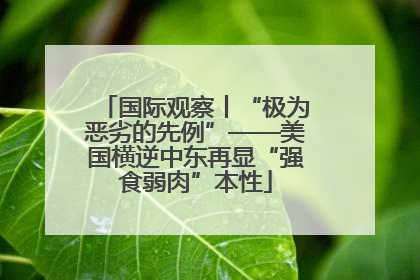 国际观察丨“极为恶劣的先例”——美国横逆中东再显“强食弱肉”本性