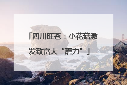 四川旺苍：小花菇激发致富大“蘑力”