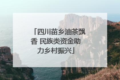 四川苗乡油茶飘香 民族类资金助力乡村振兴
