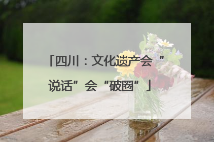 四川：文化遗产会“说话”会“破圈”