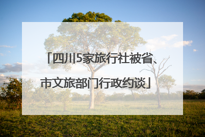 四川5家旅行社被省、市文旅部门行政约谈