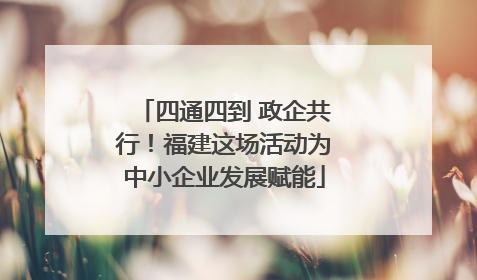 四通四到 政企共行！福建这场活动为中小企业发展赋能