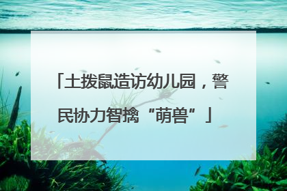 土拨鼠造访幼儿园，警民协力智擒“萌兽”