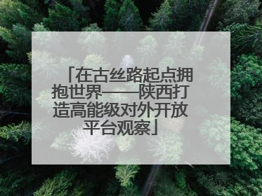 在古丝路起点拥抱世界——陕西打造高能级对外开放平台观察