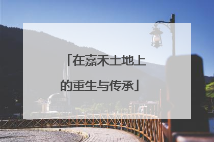 在嘉禾土地上的重生与传承