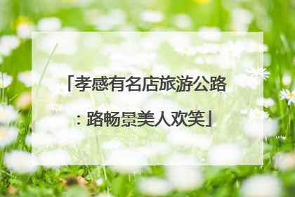 孝感有名店旅游公路：路畅景美人欢笑