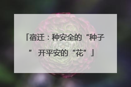 宿迁：种安全的“种子” 开平安的“花”