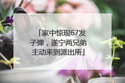 家中惊现67发子弹，遂宁两兄弟主动来到派出所