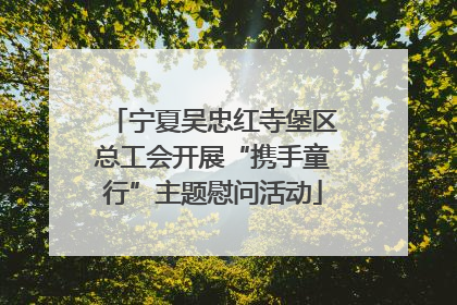 宁夏吴忠红寺堡区总工会开展“携手童行”主题慰问活动