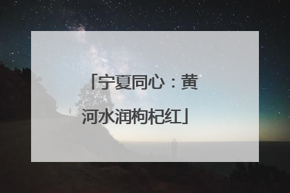 宁夏同心：黄河水润枸杞红