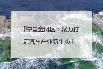 宁夏金凤区：聚力打造汽车产业新生态