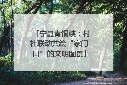 宁夏青铜峡：村社联动共绘“家门口”的文明图景