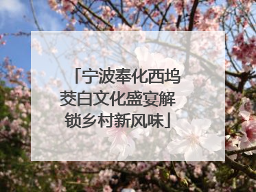 宁波奉化西坞茭白文化盛宴解锁乡村新风味