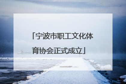 宁波市职工文化体育协会正式成立