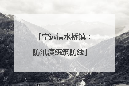 宁远清水桥镇：防汛演练筑防线