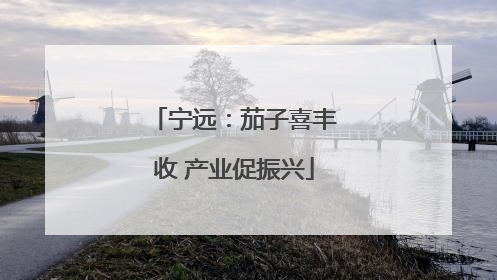 宁远：茄子喜丰收 产业促振兴