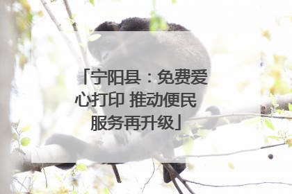 宁阳县：免费爱心打印 推动便民服务再升级