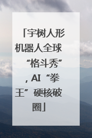 宇树人形机器人全球“格斗秀”，AI“拳王”硬核破圈