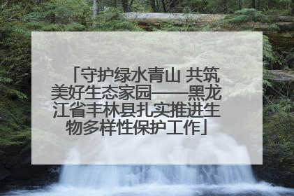 守护绿水青山 共筑美好生态家园——黑龙江省丰林县扎实推进生物多样性保护工作