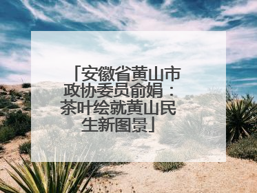 安徽省黄山市政协委员俞娟：茶叶绘就黄山民生新图景