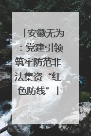 安徽无为：党建引领筑牢防范非法集资“红色防线”