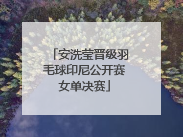 安洗莹晋级羽毛球印尼公开赛女单决赛