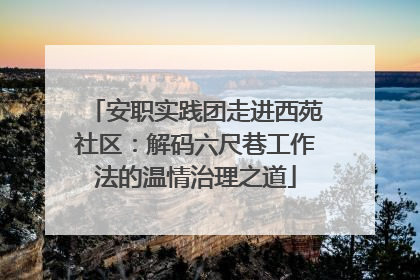 安职实践团走进西苑社区：解码六尺巷工作法的温情治理之道