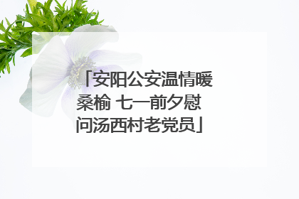 安阳公安温情暖桑榆 七一前夕慰问汤西村老党员