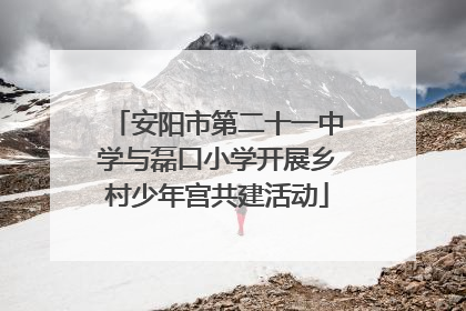 安阳市第二十一中学与磊口小学开展乡村少年宫共建活动