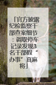 官方披露纪检监察干部查案细节：调取停车记录发现3名干部假“办事”真麻将