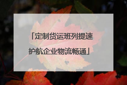 定制货运班列提速 护航企业物流畅通