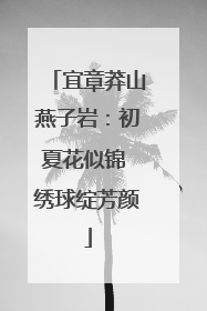 宜章莽山燕子岩：初夏花似锦 绣球绽芳颜