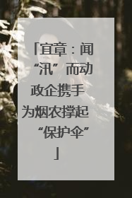 宜章：闻“汛”而动 政企携手为烟农撑起“保护伞”