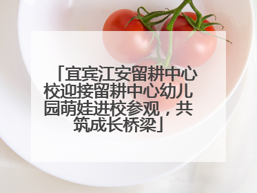 宜宾江安留耕中心校迎接留耕中心幼儿园萌娃进校参观，共筑成长桥梁
