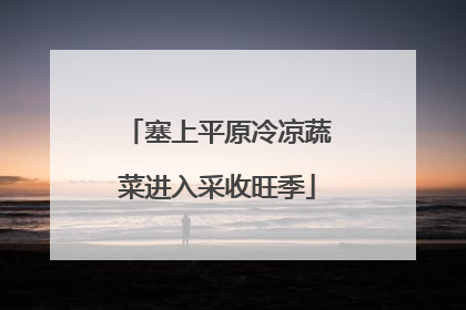 塞上平原冷凉蔬菜进入采收旺季