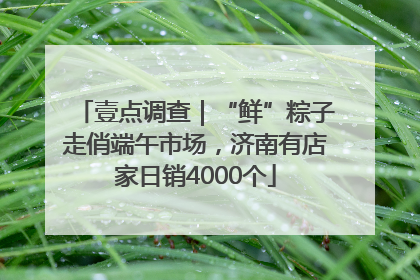 壹点调查｜“鲜”粽子走俏端午市场，济南有店家日销4000个