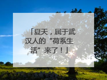 夏天，属于武汉人的“荷系生活”来了！