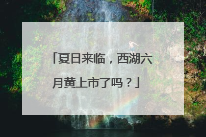 夏日来临，西湖六月黄上市了吗？