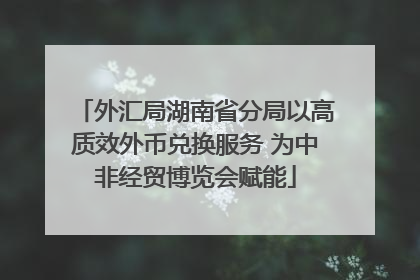 外汇局湖南省分局以高质效外币兑换服务 为中非经贸博览会赋能