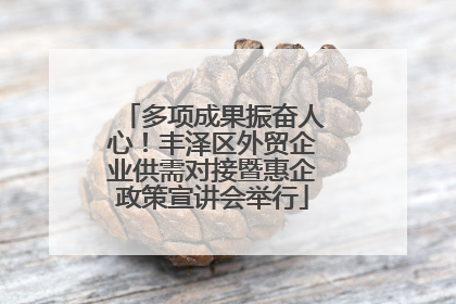 多项成果振奋人心！丰泽区外贸企业供需对接暨惠企政策宣讲会举行