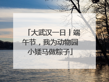 大武汉一日丨端午节，我为动物园小矮马做粽子