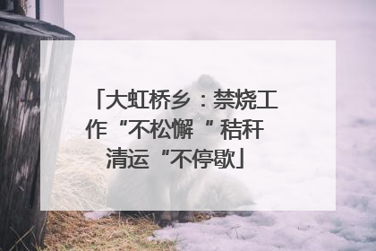 大虹桥乡：禁烧工作“不松懈“ 秸秆清运“不停歇
