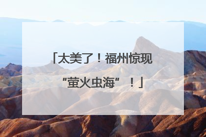 太美了！福州惊现“萤火虫海”！