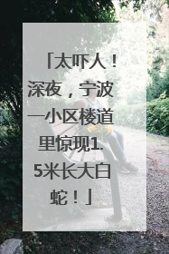 太吓人！深夜，宁波一小区楼道里惊现1.5米长大白蛇！
